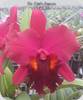 Rlc. Chia Lin Emperor